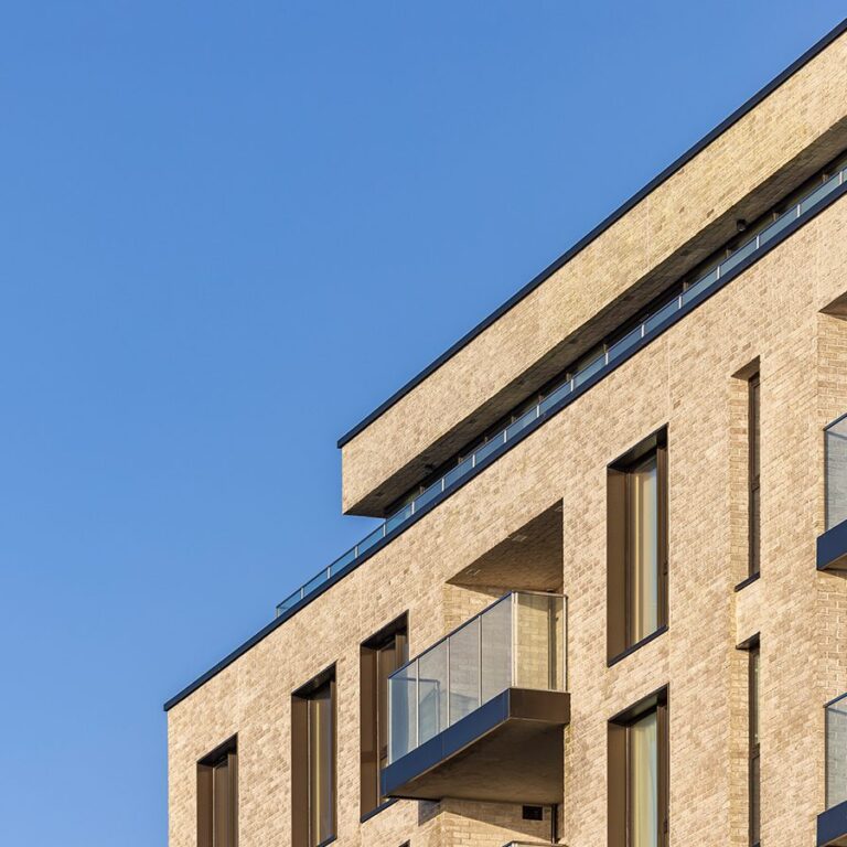 Calista – close up