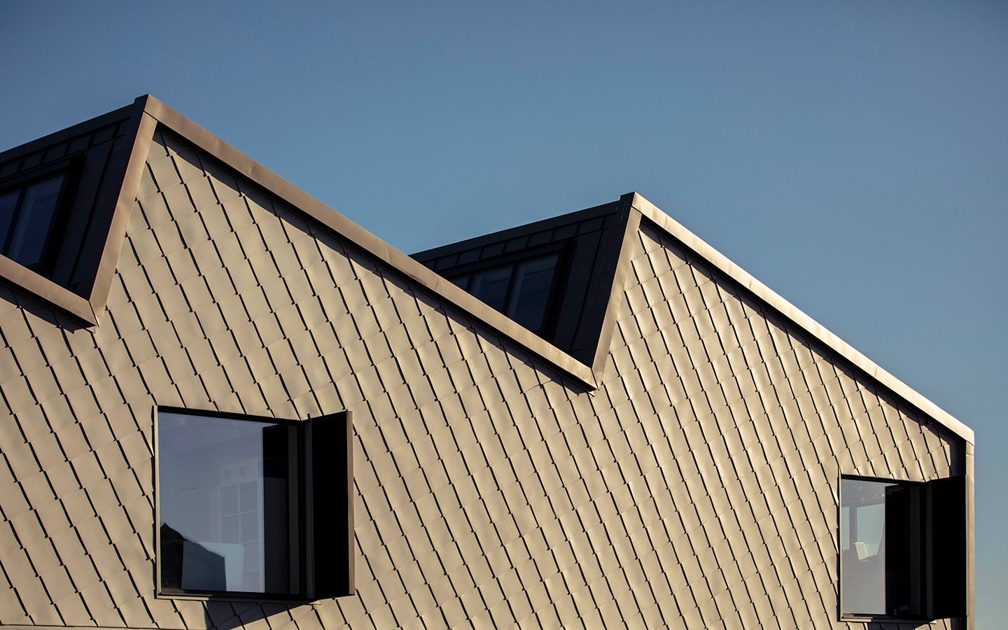 Lady Bee – roof line