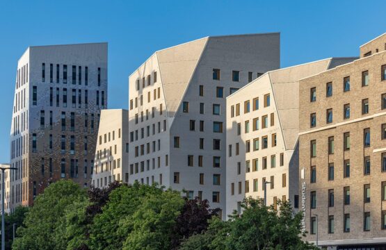 Mithras Halls – trees and towers
