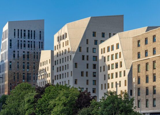 Mithras Halls – trees and towers