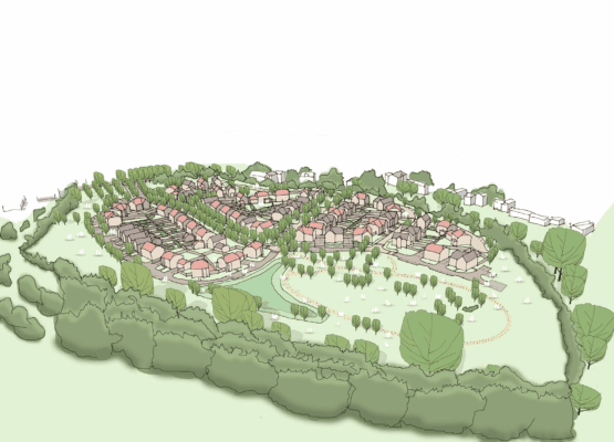 Wandleys Lane 01