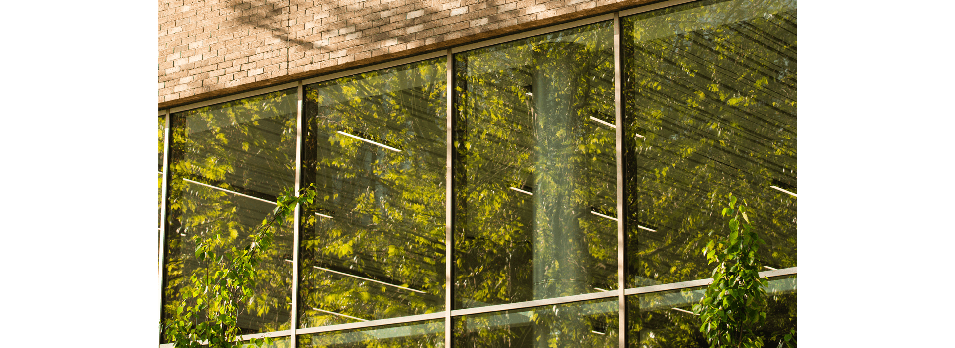 Publications | ECE Group