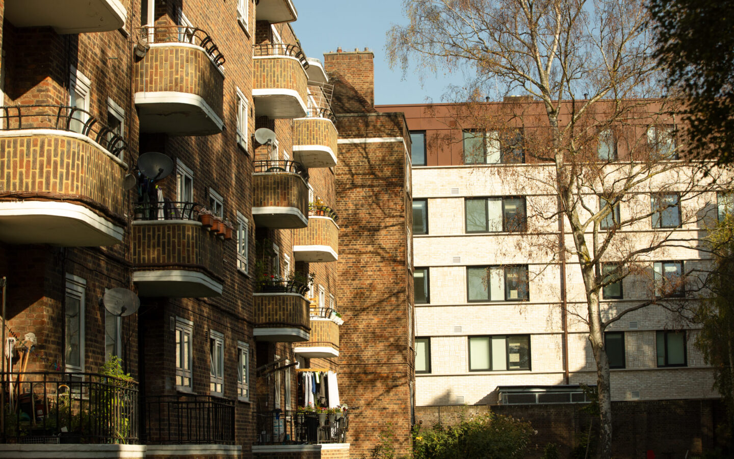 WILLSCOTT-CULLINANSTUDIO-MAITLANDPARK-43