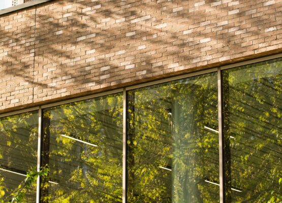 Sustainability banner – Kingston College