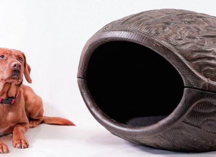 A brown-red Labrador lying next to a large wooden kennel shaped like a walnut.