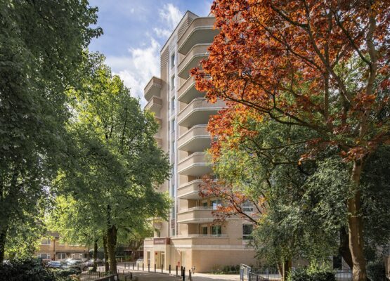 Two trees with green and orange leaves in front of an Art Deco style brick residential building entrance