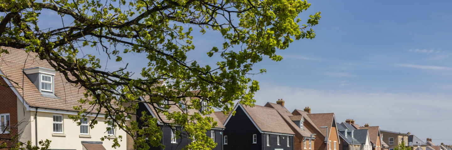 Row of houses with a green tree in front of them.