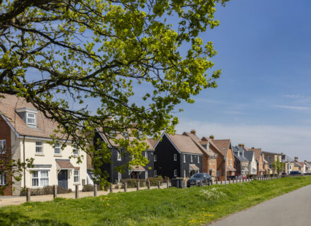 Row of houses with a green tree in front of them.